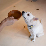 【PETICUTERI】-犬・猫用スープ- WAN!  MORE SOUP（ワン!モアスープ）